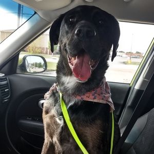 Meet your Posher, Ashley